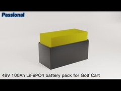 Besichtigungsgolfmobil-Batterie 72v 100ah des lithium-Lifepo4 mit intelligentem BMS